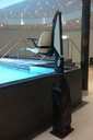 Vaste zwembad lift F100