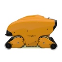 Dolphin Wave 150 met actieve borstels