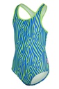 Bathing Suit Girls Zebra Vibes