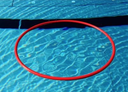 Cerceau  75 cm, flottant