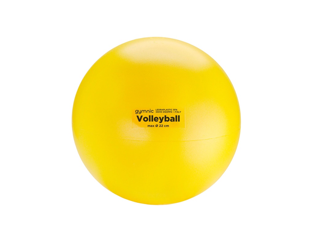 Volleyball 22cm